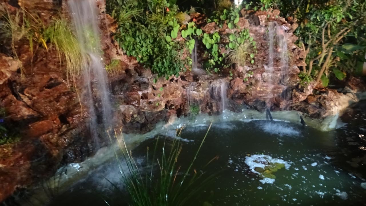 Mt Pleasant Bed And Breakfast Ltd Harare Luaran gambar