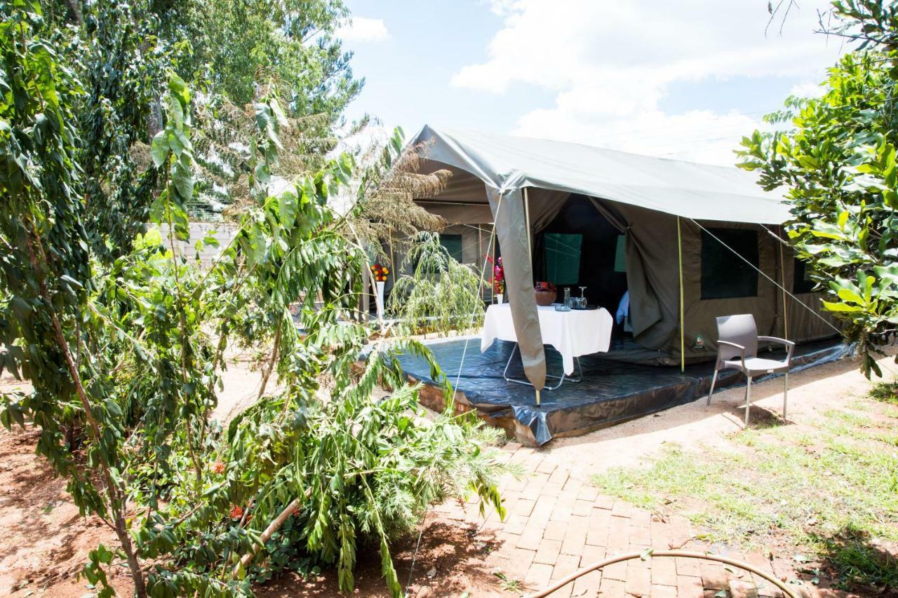 Mt Pleasant Bed And Breakfast Ltd Harare Luaran gambar